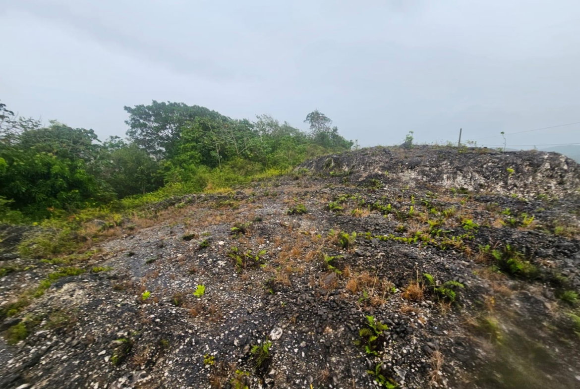 Third image of 112 New Wales in Knockpatirck, Manchester, Jamaica - property is For Sale