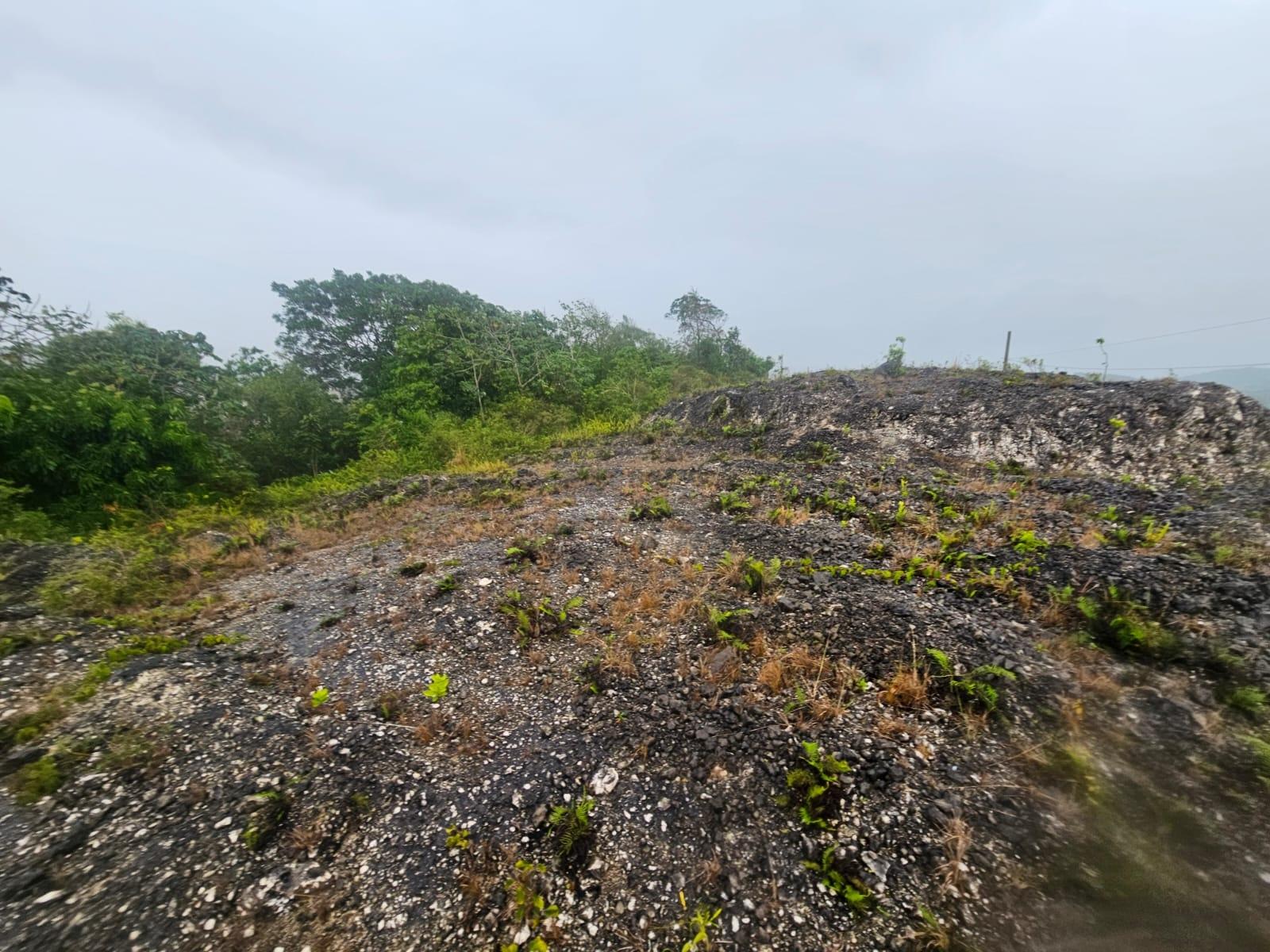 Prime-13-Acre-Residential-Lot-for-Sale-in-Manchester-Jamaica Third image of 112 New Wales in Knockpatirck, Manchester, Jamaica - property is For Sale
