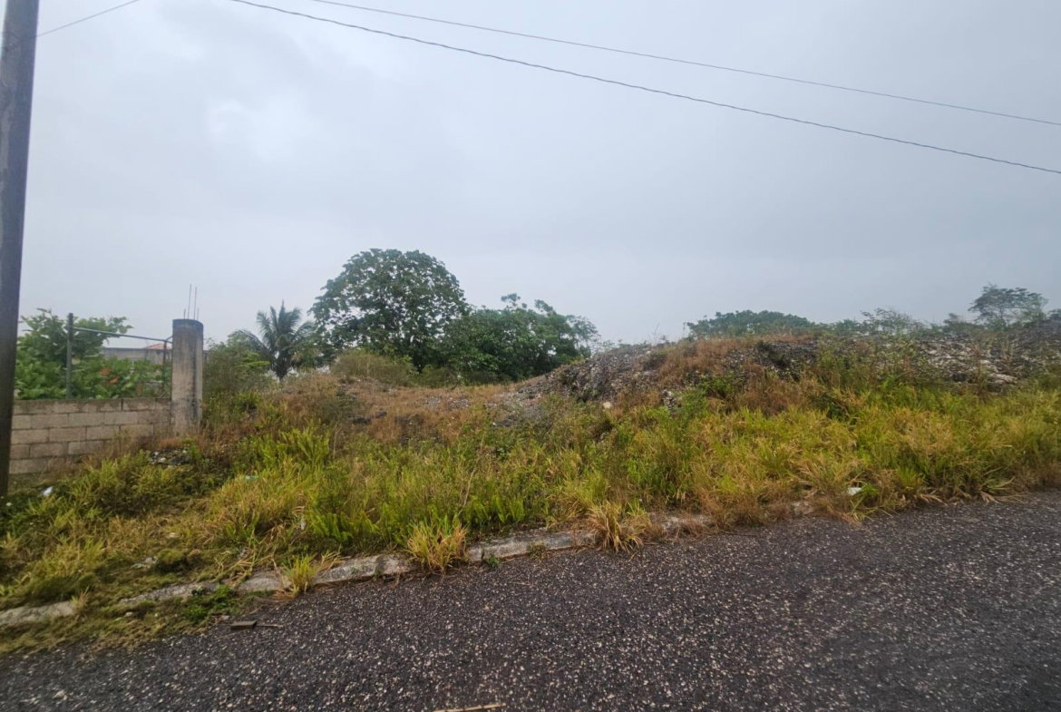 Fourth image of 112 New Wales in Knockpatirck, Manchester, Jamaica - property is For Sale