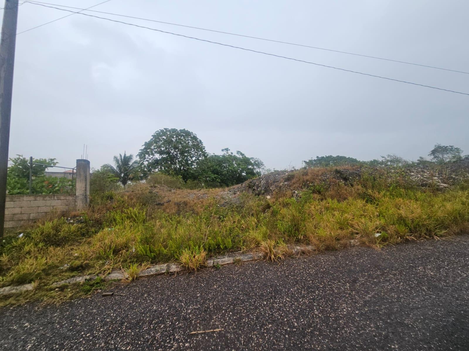 Prime-13-Acre-Residential-Lot-for-Sale-in-Manchester-Jamaica Fourth image of 112 New Wales in Knockpatirck, Manchester, Jamaica - property is For Sale