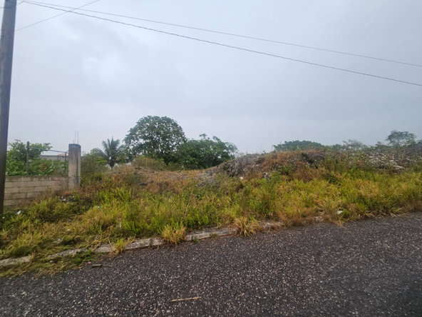 Fourth image of 112 New Wales in Knockpatirck, Manchester, Jamaica - property is For Sale