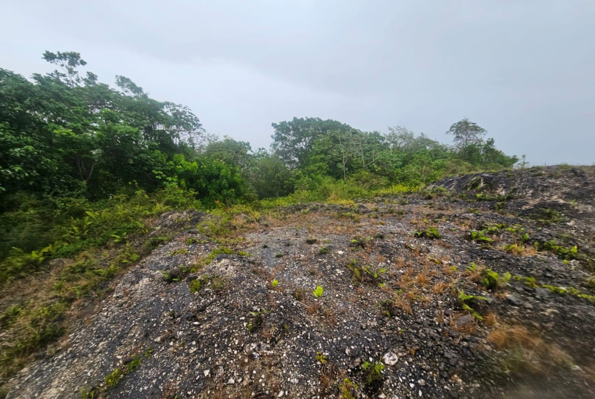 Fifth image of 112 New Wales in Knockpatirck, Manchester, Jamaica - property is For Sale