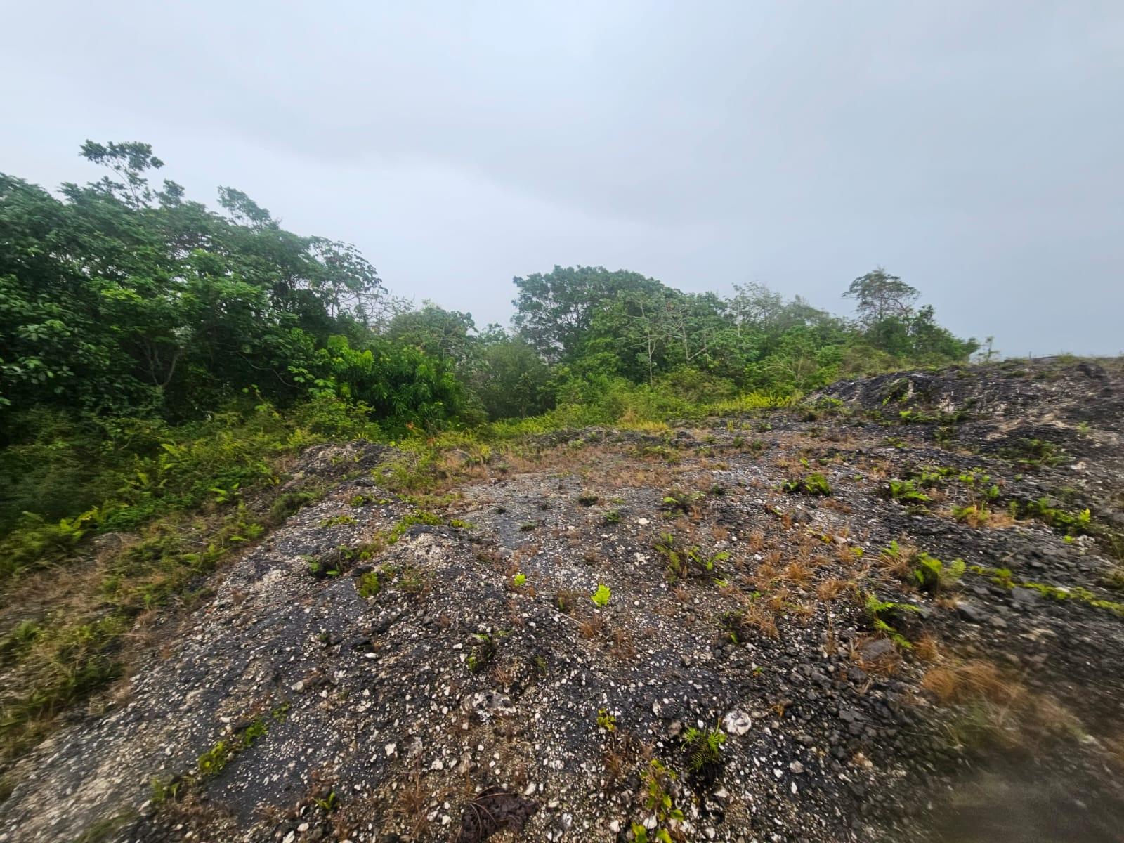 Prime-13-Acre-Residential-Lot-for-Sale-in-Manchester-Jamaica Fifth image of 112 New Wales in Knockpatirck, Manchester, Jamaica - property is For Sale