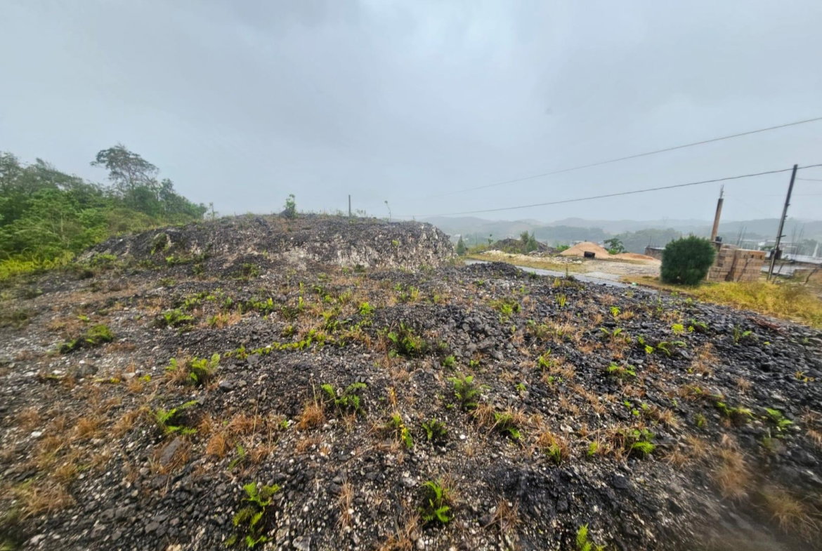 Seventh image of 112 New Wales in Knockpatirck, Manchester, Jamaica - property is For Sale