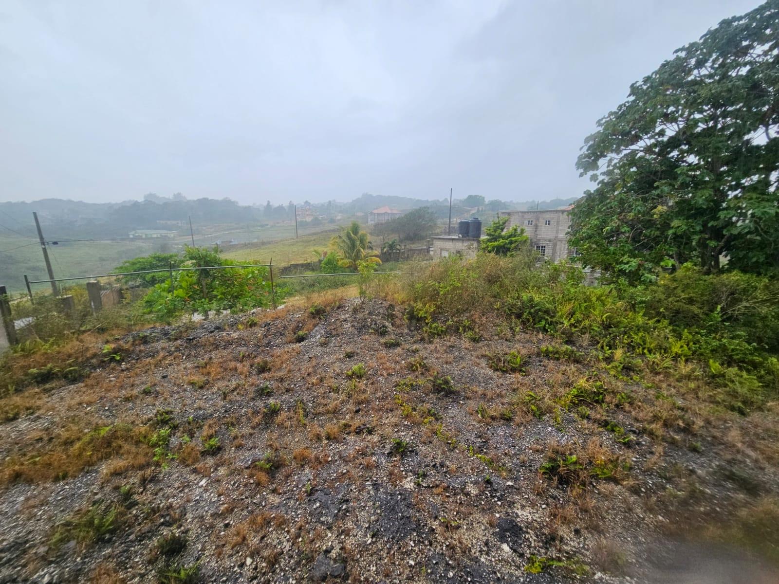 Prime-13-Acre-Residential-Lot-for-Sale-in-Manchester-Jamaica Eighth image of 112 New Wales in Knockpatirck, Manchester, Jamaica - property is For Sale