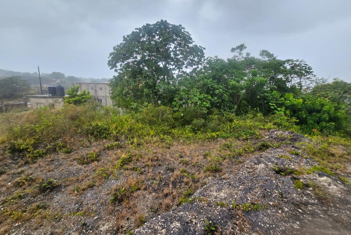Ninth image of 112 New Wales in Knockpatirck, Manchester, Jamaica - property is For Sale