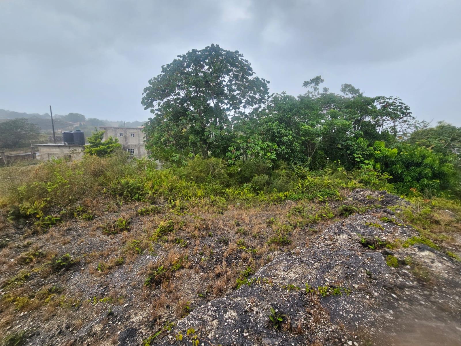 Prime-13-Acre-Residential-Lot-for-Sale-in-Manchester-Jamaica Ninth image of 112 New Wales in Knockpatirck, Manchester, Jamaica - property is For Sale
