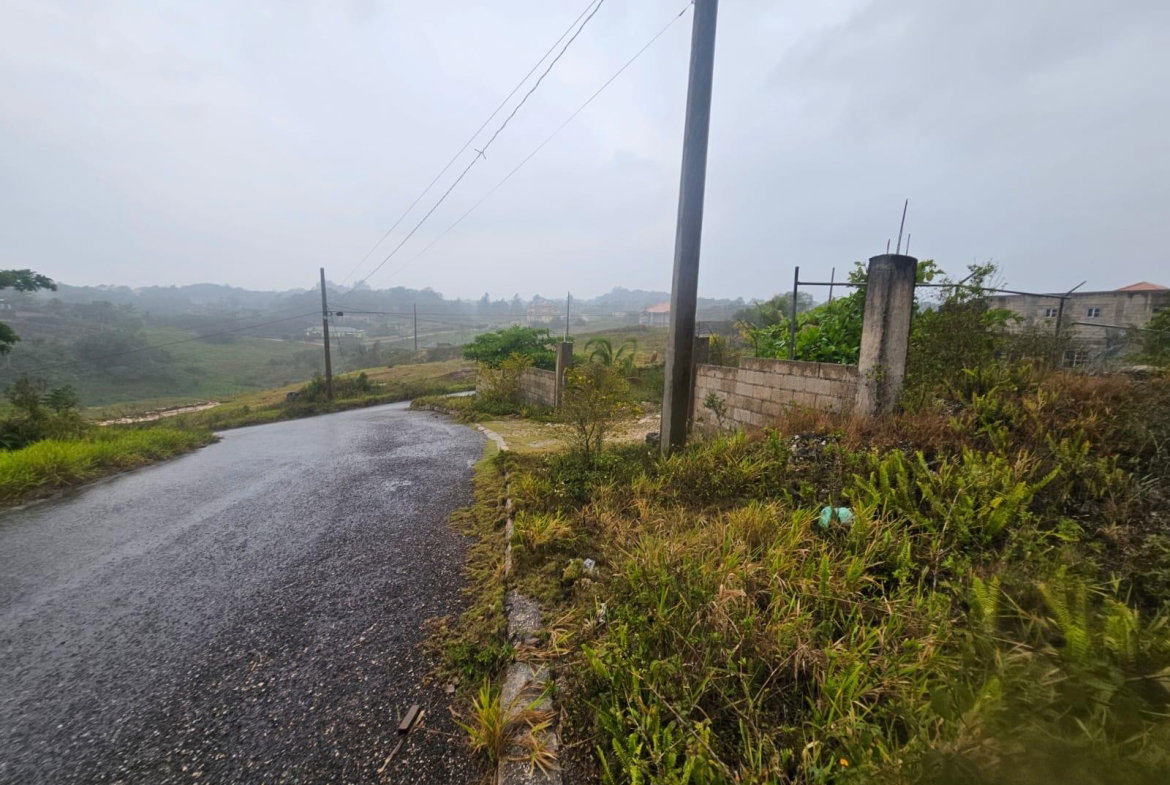Tenth image of 112 New Wales in Knockpatirck, Manchester, Jamaica - property is For Sale