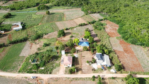 Eleventh image of New Forrest po Manchester in New Forest, Manchester, Jamaica - property is For Sale