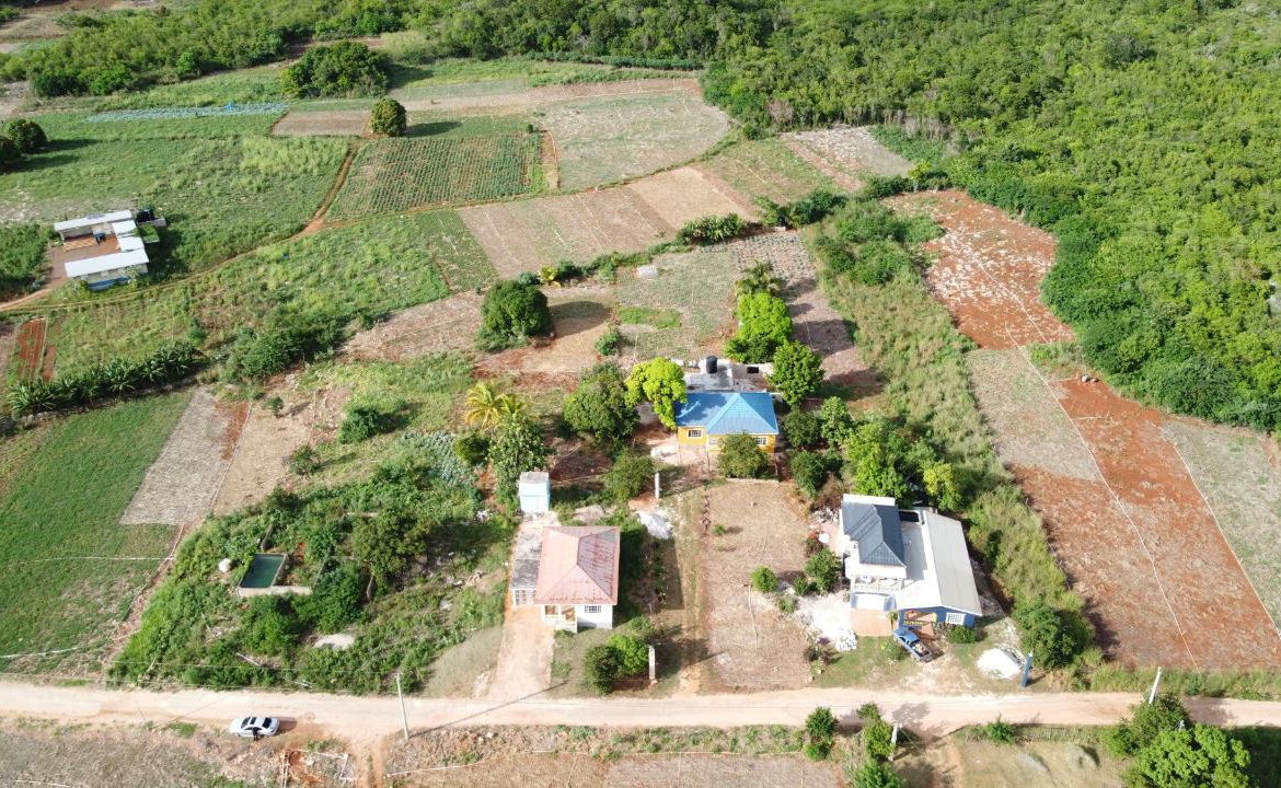 Thirteenth image of New Forrest po Manchester in New Forest, Manchester, Jamaica - property is For Sale