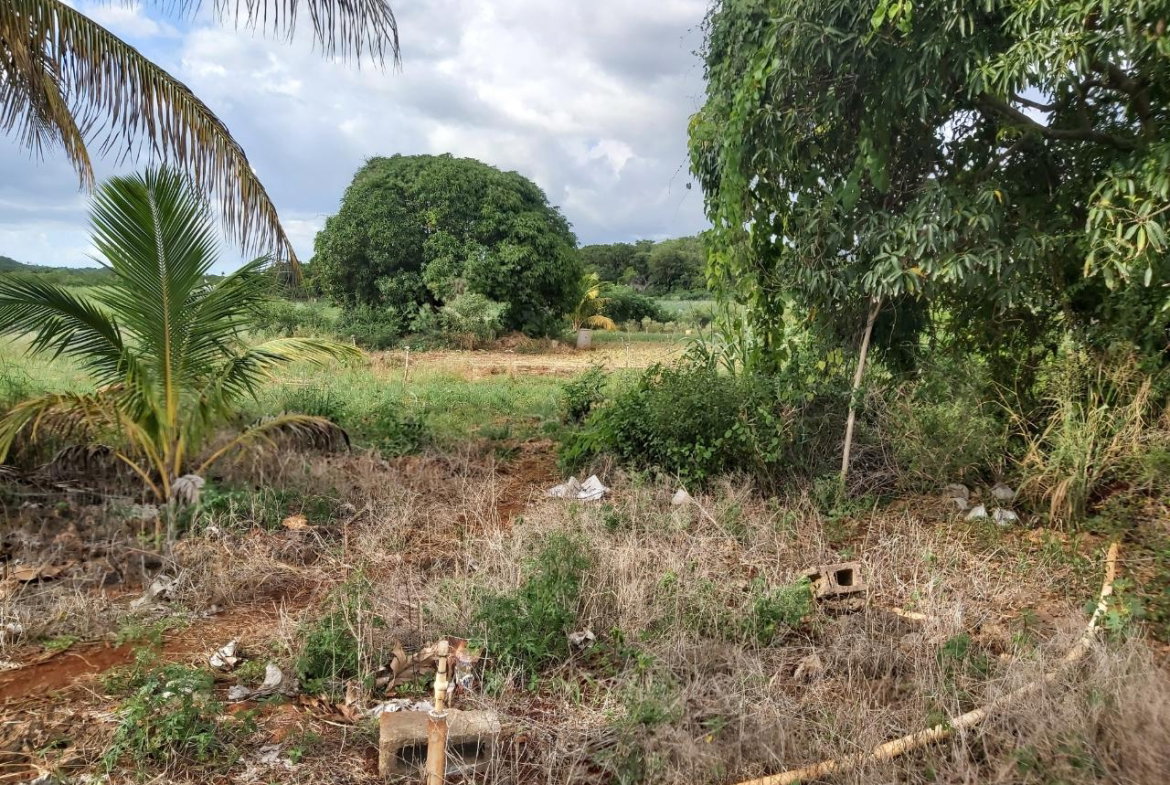 Third image of New Forrest po Manchester in New Forest, Manchester, Jamaica - property is For Sale