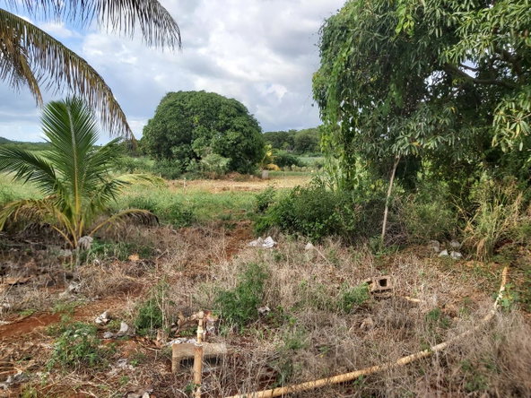 Third image of New Forrest po Manchester in New Forest, Manchester, Jamaica - property is For Sale