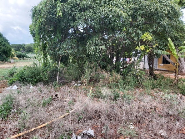 Eighth image of New Forrest po Manchester in New Forest, Manchester, Jamaica - property is For Sale