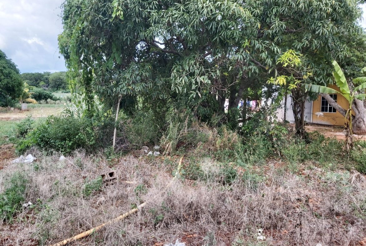 Tenth image of New Forrest po Manchester in New Forest, Manchester, Jamaica - property is For Sale