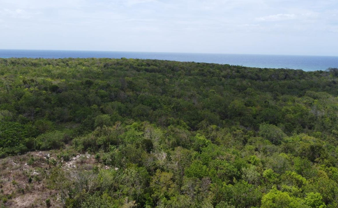 Eleventh image of 437- Duncan Bay in Duncans, Trelawny, Jamaica - property is For Sale