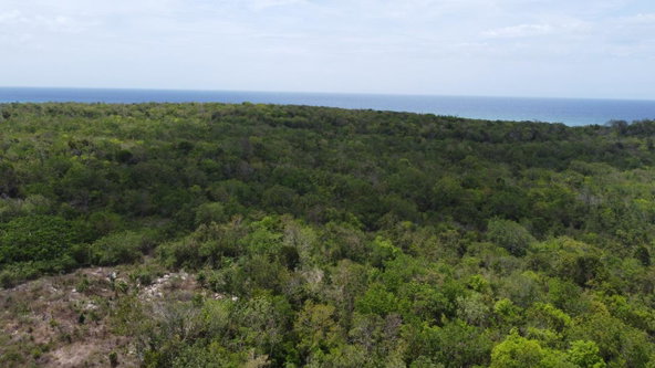 Eleventh image of 437- Duncan Bay in Duncans, Trelawny, Jamaica - property is For Sale