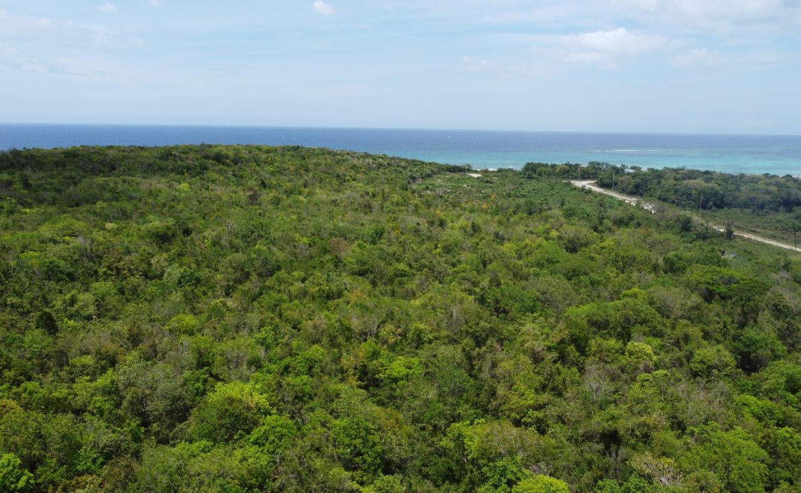 Twelfth image of 437- Duncan Bay in Duncans, Trelawny, Jamaica - property is For Sale