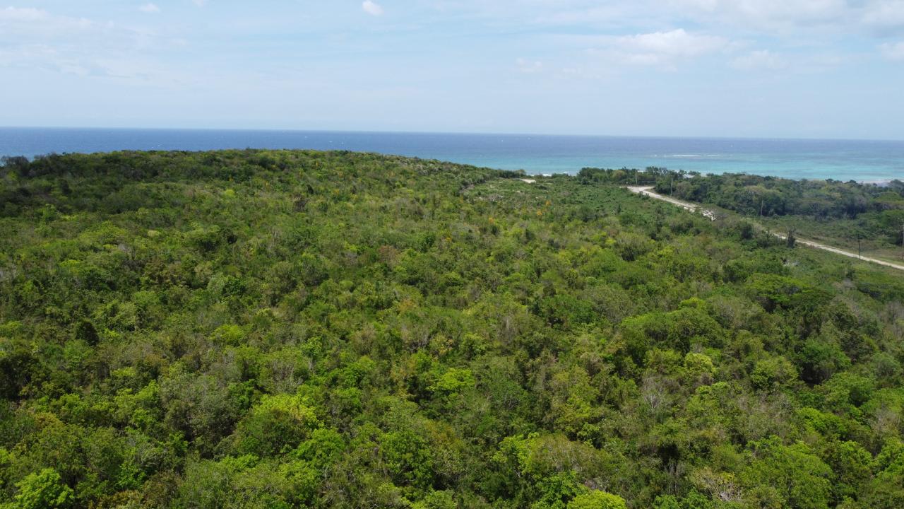 Twelfth image of 437- Duncan Bay in Duncans, Trelawny, Jamaica - property is For Sale