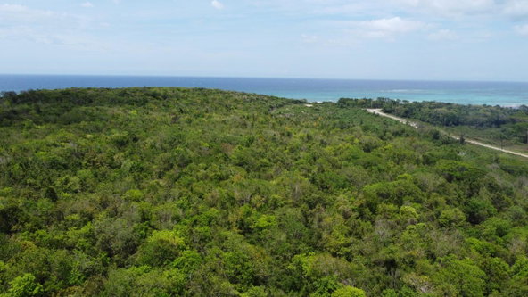 Twelfth image of 437- Duncan Bay in Duncans, Trelawny, Jamaica - property is For Sale