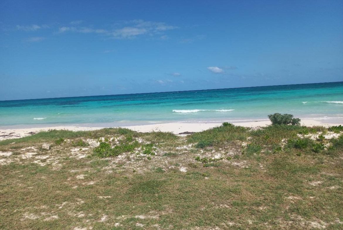 Fifteenth image of 437- Duncan Bay in Duncans, Trelawny, Jamaica - property is For Sale