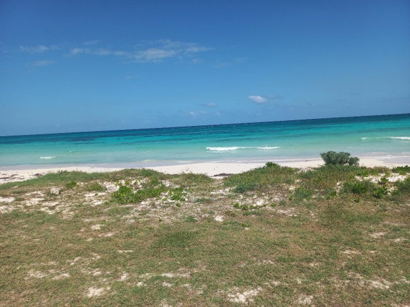 Fifteenth image of 437- Duncan Bay in Duncans, Trelawny, Jamaica - property is For Sale