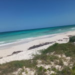 First image of 437- Duncan Bay in Duncans, Trelawny, Jamaica - property is For Sale