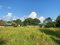 First image of 15 Swallowfield Drive in Havendale, St. Andrew, Jamaica - property is For Sale