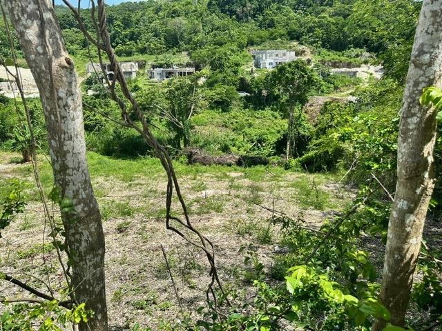 Second image of 597 Pivia Way, Orchard Garden in Orchard, Hanover, Jamaica - property is For Sale