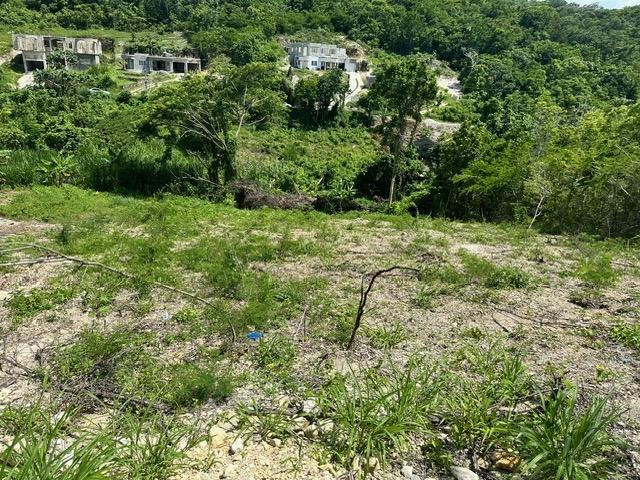 Third image of 597 Pivia Way, Orchard Garden in Orchard, Hanover, Jamaica - property is For Sale