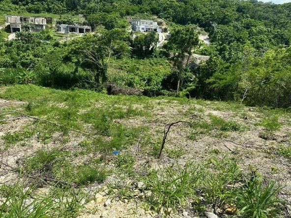 Third image of 597 Pivia Way, Orchard Garden in Orchard, Hanover, Jamaica - property is For Sale