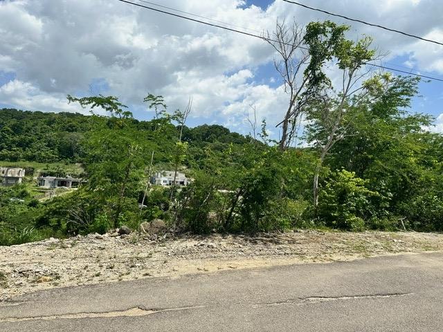 Fourth image of 597 Pivia Way, Orchard Garden in Orchard, Hanover, Jamaica - property is For Sale