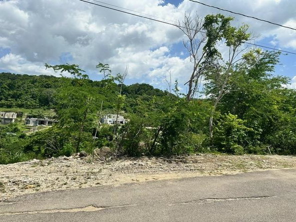 Fourth image of 597 Pivia Way, Orchard Garden in Orchard, Hanover, Jamaica - property is For Sale
