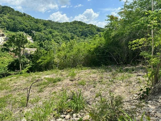 Fifth image of 597 Pivia Way, Orchard Garden in Orchard, Hanover, Jamaica - property is For Sale