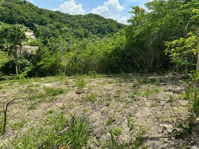 Sixth image of 597 Pivia Way, Orchard Garden in Orchard, Hanover, Jamaica - property is For Sale