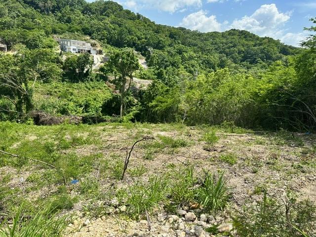 Eighth image of 597 Pivia Way, Orchard Garden in Orchard, Hanover, Jamaica - property is For Sale