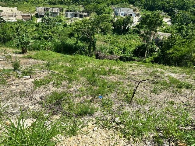 Ninth image of 597 Pivia Way, Orchard Garden in Orchard, Hanover, Jamaica - property is For Sale