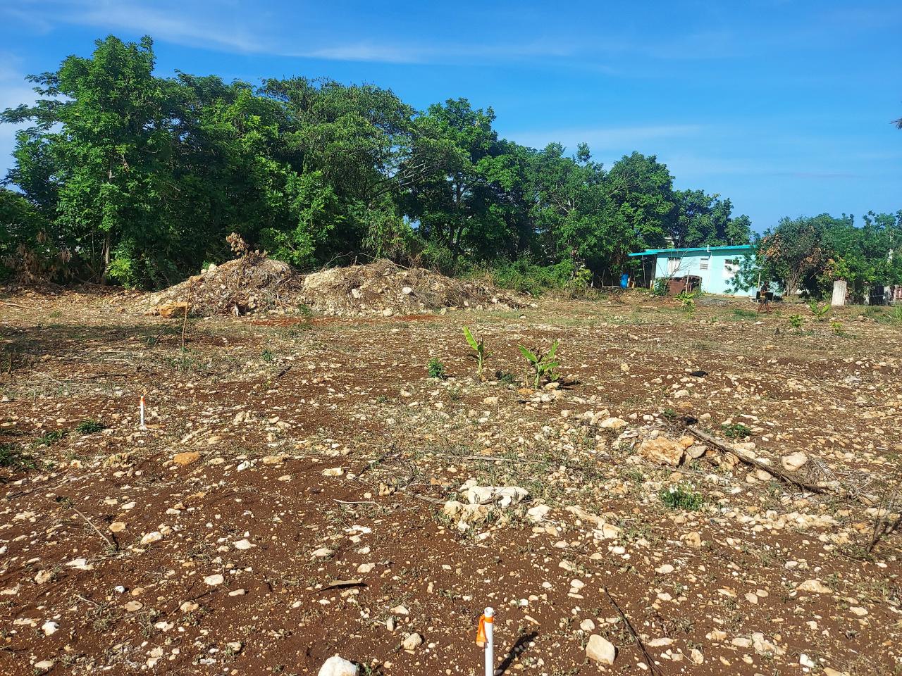 First image of 6 Hopewell Gardens in Discovery Bay, St. Ann, Jamaica - property is For Sale