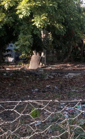 Second image of Lot #4 Green Park, Sandy Bay in May Pen, Clarendon, Jamaica - property is For Sale