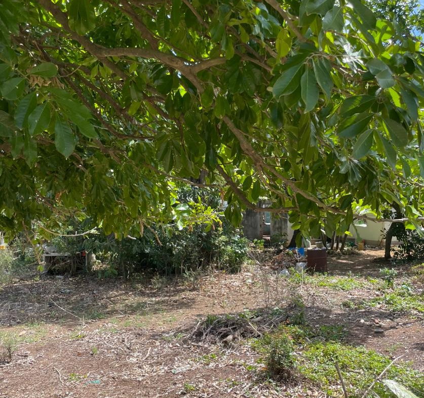 Fourth image of Lot #4 Green Park, Sandy Bay in May Pen, Clarendon, Jamaica - property is For Sale