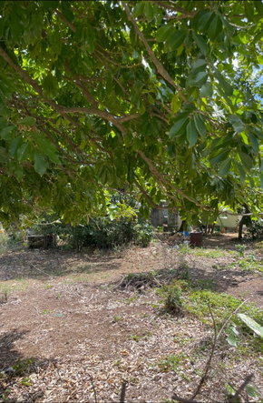 Fourth image of Lot #4 Green Park, Sandy Bay in May Pen, Clarendon, Jamaica - property is For Sale