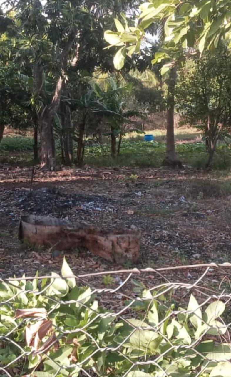 Prime-14-Acre-Residential-Lot-for-Sale-in-Green-Park-Sandy-Bay-Jamaica Seventh image of Lot #4 Green Park, Sandy Bay in May Pen, Clarendon, Jamaica - property is For Sale