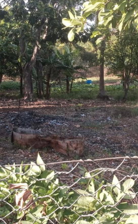 Seventh image of Lot #4 Green Park, Sandy Bay in May Pen, Clarendon, Jamaica - property is For Sale