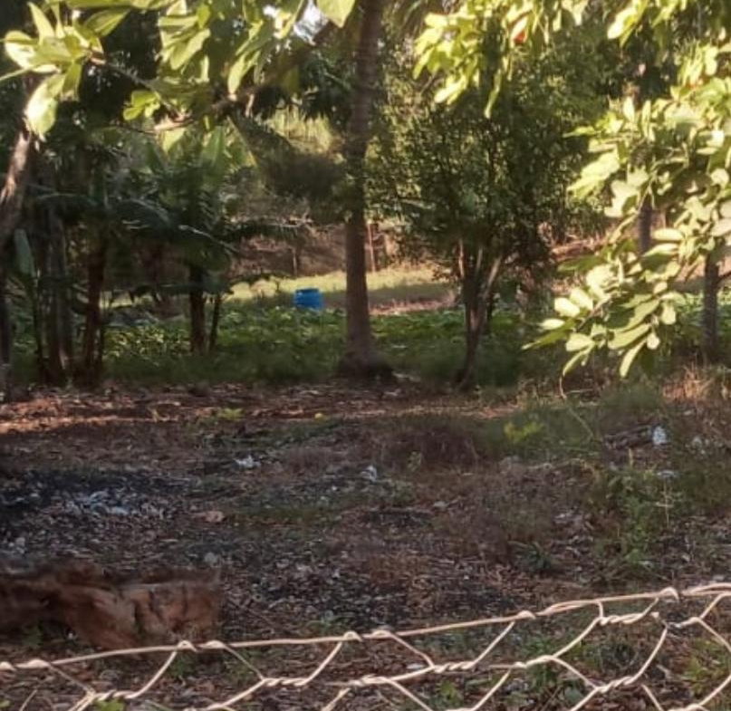 First image of Lot #4 Green Park, Sandy Bay in May Pen, Clarendon, Jamaica - property is For Sale