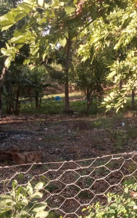 First image of Lot #4 Green Park, Sandy Bay in May Pen, Clarendon, Jamaica - property is For Sale