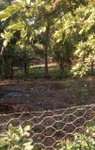 First image of Lot #4 Green Park, Sandy Bay in May Pen, Clarendon, Jamaica - property is For Sale