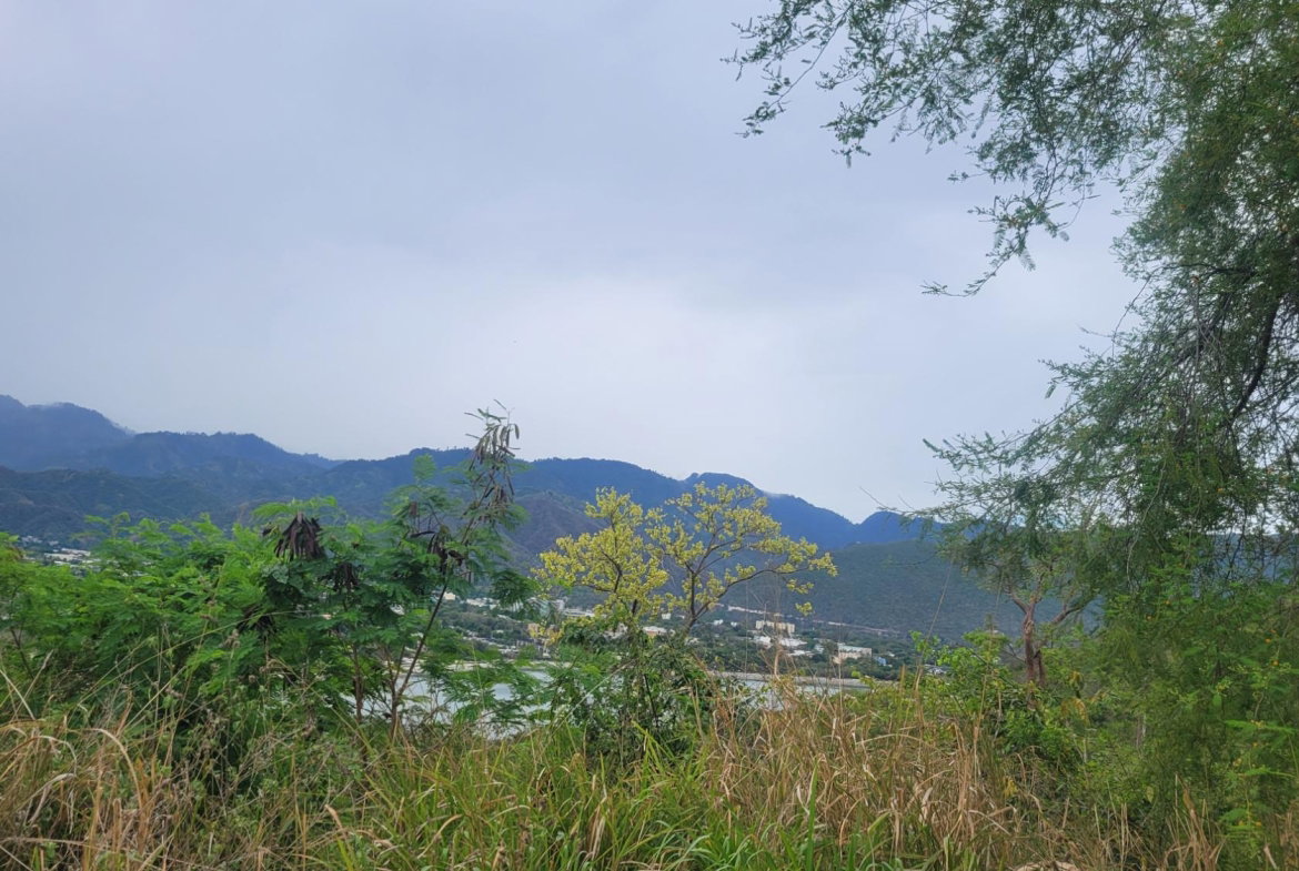 Second image of 44 Fiddlewood Close in Kingston 6, St. Andrew, Jamaica - property is For Sale