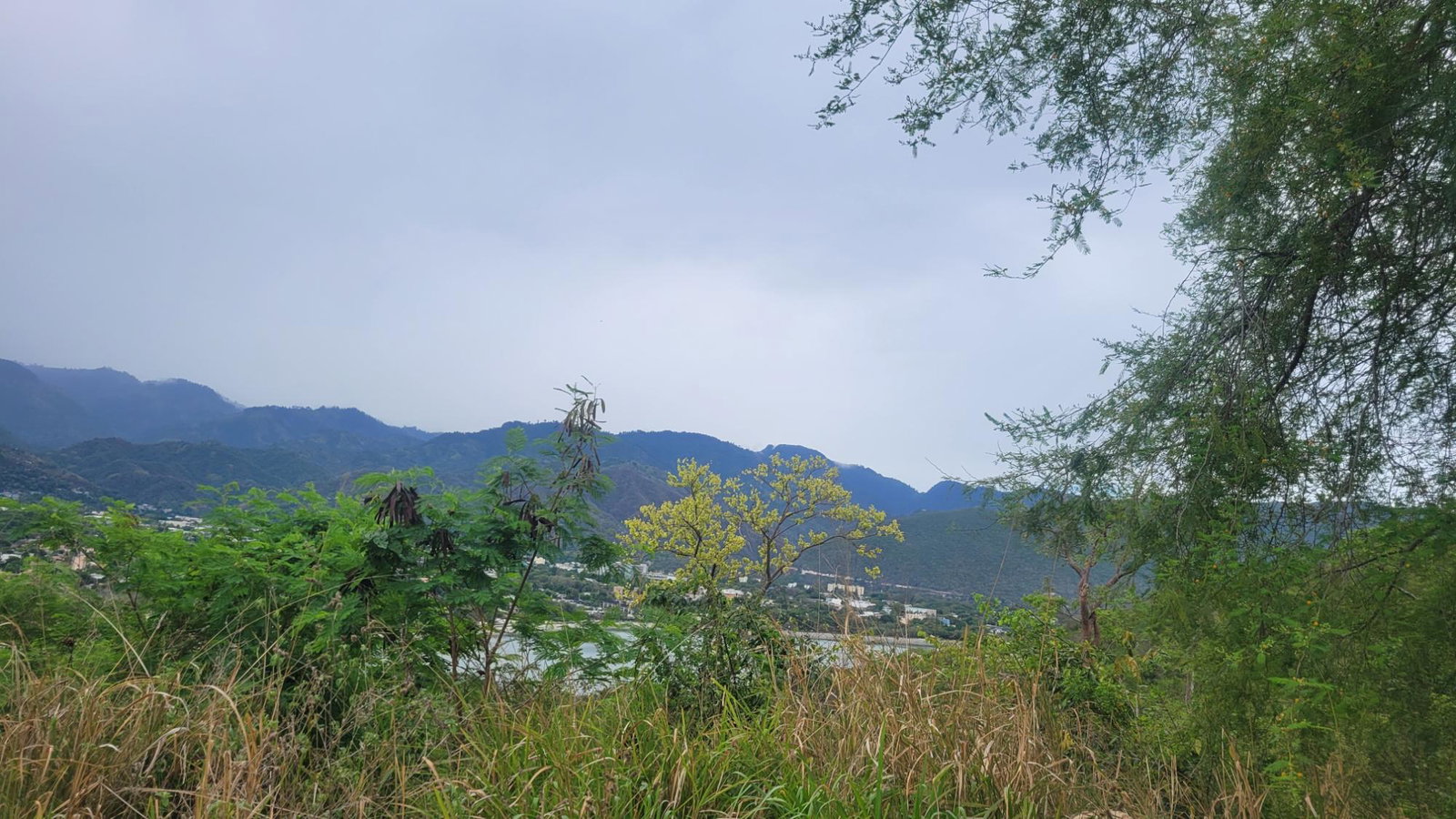 Second image of 44 Fiddlewood Close in Kingston 6, St. Andrew, Jamaica - property is For Sale