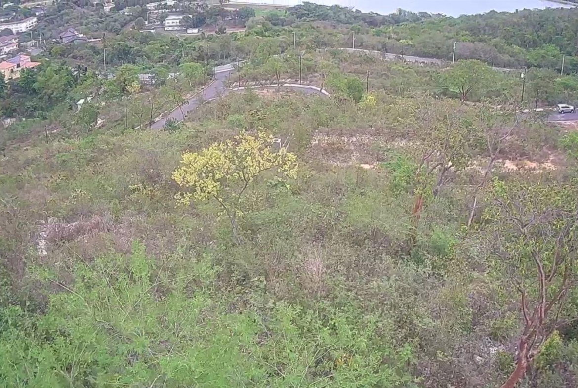 Sixth image of 44 Fiddlewood Close in Kingston 6, St. Andrew, Jamaica - property is For Sale