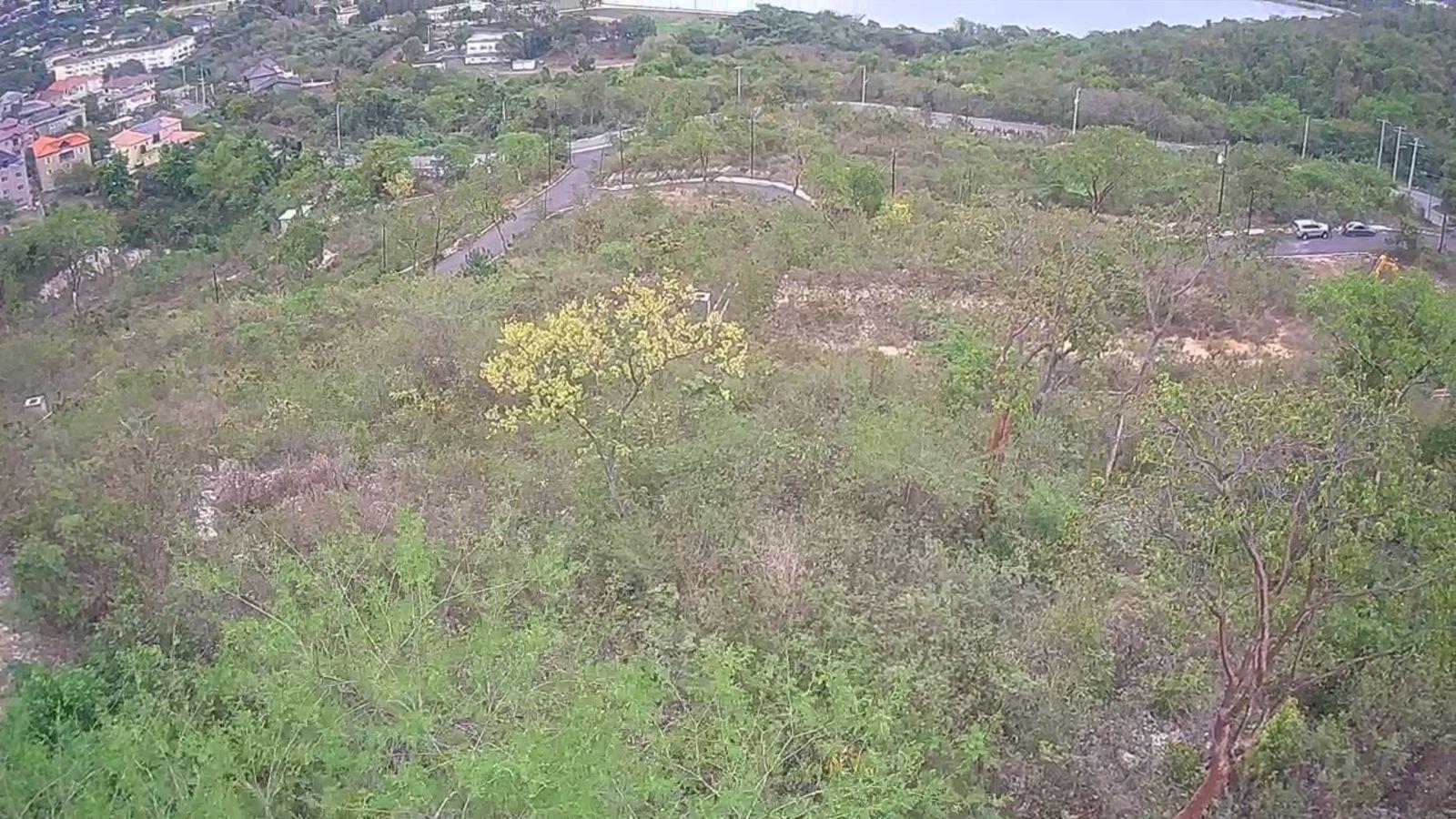 Sixth image of 44 Fiddlewood Close in Kingston 6, St. Andrew, Jamaica - property is For Sale