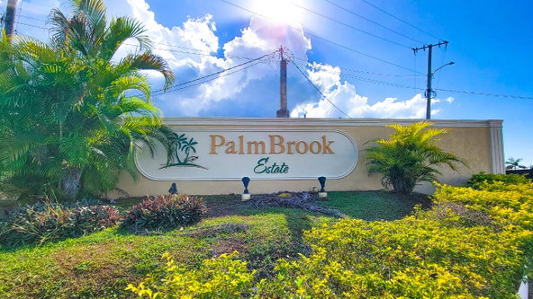 Second image of Lot 129 Palm Brook Estate in Lacovia, St. Elizabeth, Jamaica - property is For Sale